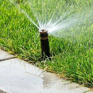 Restore Your Lawn With Sprinkler Repair Mesa AZ - Sprinkler ...