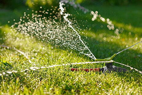 Help! Why Is My Lawn So Patchy? - Sprinkler DoctorsSprinkler Doctors