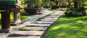 Top Landscaping Trends to Watch