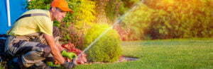 home sprinkler system cost