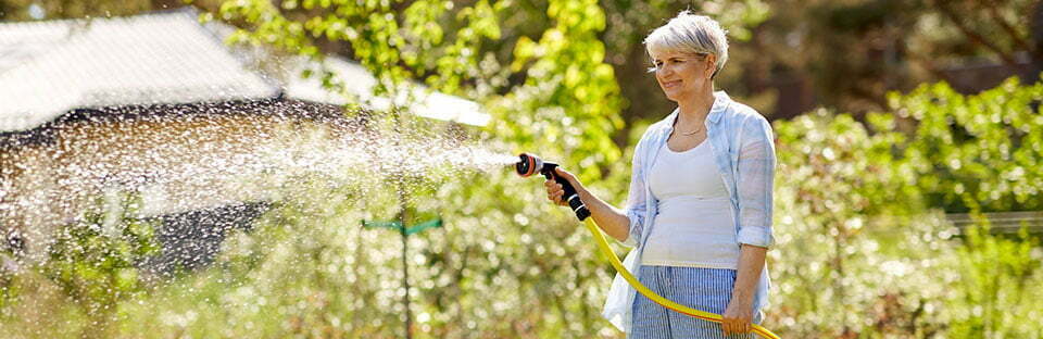 when is the best time to water lawn in Arizona