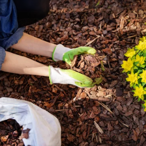 Flower-bed-with-mulch