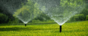 Four Reasons to Choose Automatic Sprinkler Systems for Mesa, AZ Lawns