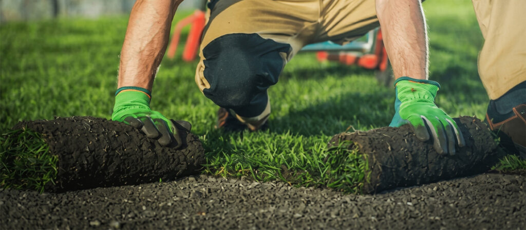 Sprinkler Doctors irrigation system serving a residential landscape in Gilbert, AZ