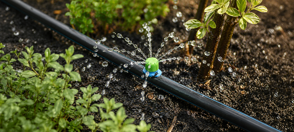 drip system