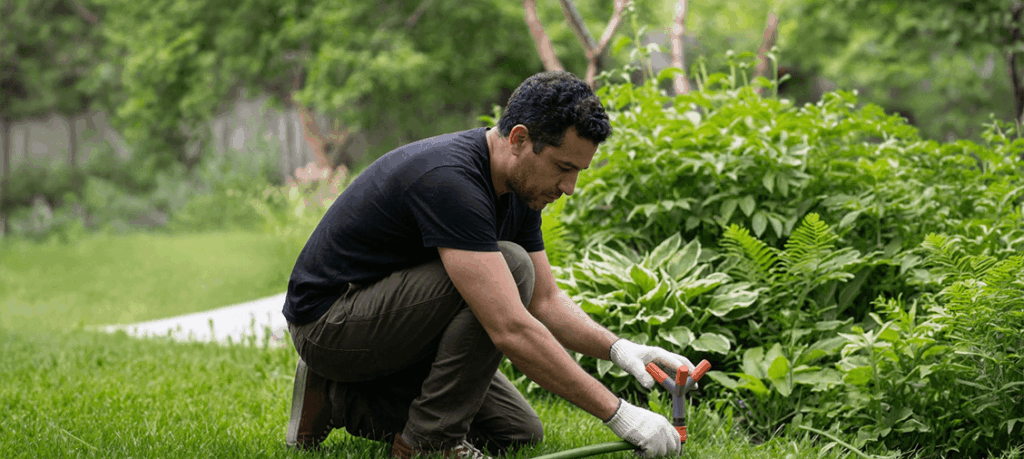 gardener